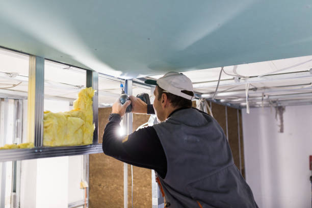 Best Wall Insulation Installation  in Onancock, VA